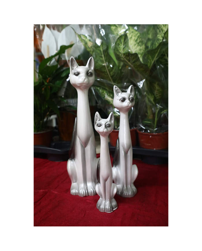Conjunto Gatos Conjunto Gatos