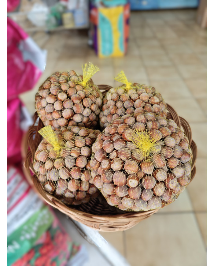 Avelãs c/casca Avelãs c/casca