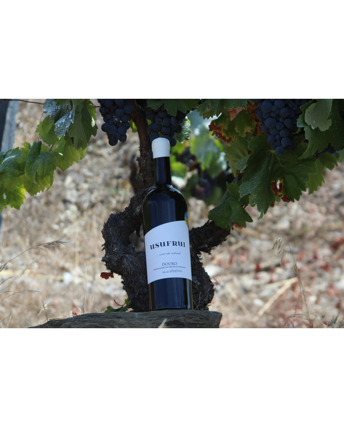 Usufrui Vinho Tinto 2023