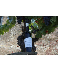 Usufrui Vinho Branco 2023