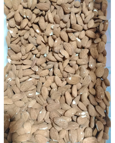 Amêndoa com pele biológica a granel (10kg)