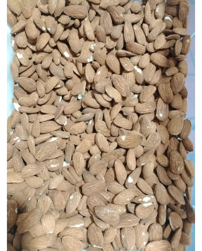 Amêndoa com pele biológica a granel (10kg)