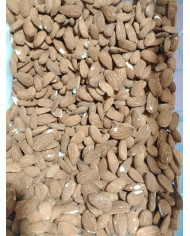 Amêndoa com pele biológica a granel (10kg)