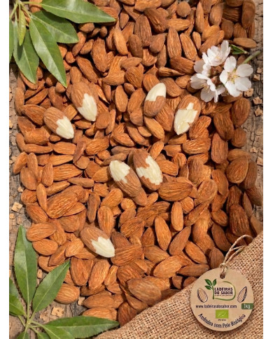 Amêndoa com pele biológica a granel (10kg)