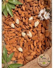 Amêndoa com casca dura (saco 10kg)